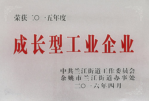 成長型工業(yè)企業(yè)