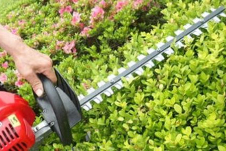 電動綠籬機刀片的價格貴嗎？