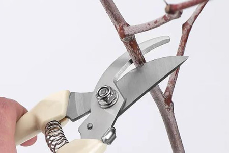 修枝剪刀片什么材質(zhì)好？銀達(dá)科普！